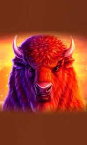 Buffalo 50